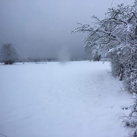 Le Diamanster Francorchamps Villa Stavelot Ngoại thất bức ảnh