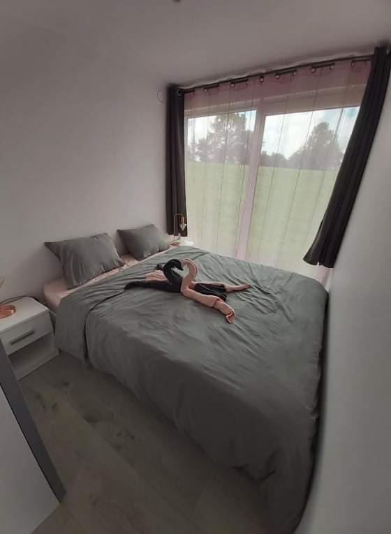 Le Diamanster Francorchamps Villa Stavelot Ngoại thất bức ảnh